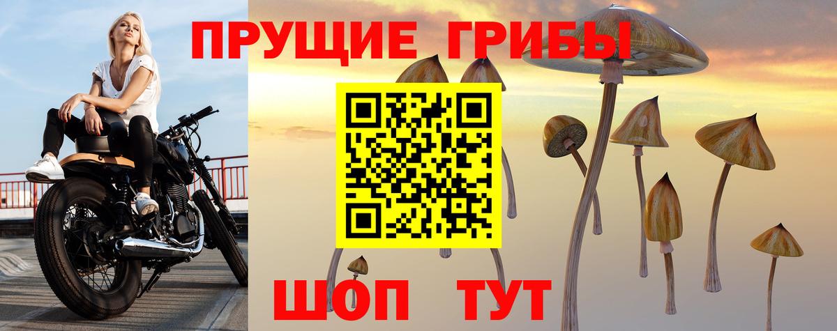 Гашиш Камень-на-Оби